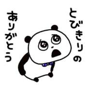 ヒメ日記 2026/03/29 06:44 投稿 藍子（あいこ） ビッグバード