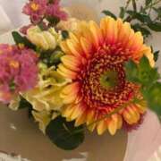 ヒメ日記 2026/04/04 08:34 投稿 藍子（あいこ） ビッグバード