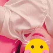 ヒメ日記 2026/06/25 08:24 投稿 藍子（あいこ） ビッグバード