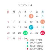 ヒメ日記 2025/04/07 20:06 投稿 ことり ビギナーズ和歌山