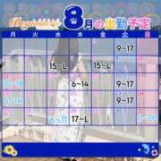 ことり 8月の予定🌻🍉 ビギナーズ和歌山