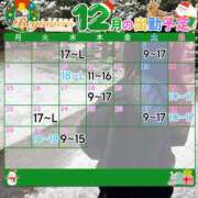 ヒメ日記 2025/12/05 17:34 投稿 ことり ビギナーズ和歌山