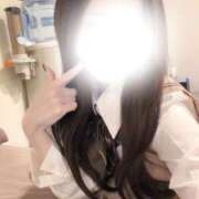 ことり 今月残り31日です❕ ビギナーズ和歌山