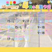 ヒメ日記 2026/04/08 10:21 投稿 ことり ビギナーズ和歌山