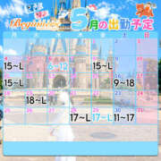 ことり 5月の予定🌳🕊️ ビギナーズ和歌山
