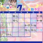 ことり 7月の予定🍉 ビギナーズ和歌山