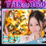 ヒメ日記 2026/07/17 18:37 投稿 ことり ビギナーズ和歌山