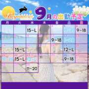 ヒメ日記 2026/09/08 16:21 投稿 ことり ビギナーズ和歌山