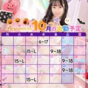 ことり 10月の予定🎃😈 ビギナーズ和歌山