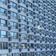 ヒメ日記 2024/12/09 14:31 投稿 るる コートダジュール