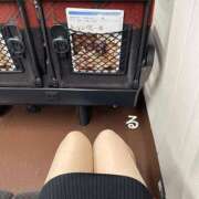 ヒメ日記 2024/12/12 09:31 投稿 るる コートダジュール