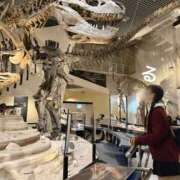 ヒメ日記 2025/03/29 19:01 投稿 るる コートダジュール