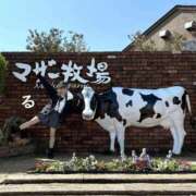 ヒメ日記 2025/04/04 18:06 投稿 るる コートダジュール