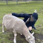 ヒメ日記 2025/04/04 22:02 投稿 るる コートダジュール