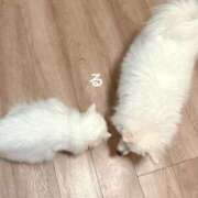 ヒメ日記 2025/04/05 22:02 投稿 るる コートダジュール