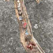 ヒメ日記 2025/04/06 20:15 投稿 るる コートダジュール