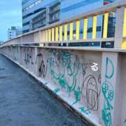 ヒメ日記 2025/04/12 20:11 投稿 るる コートダジュール