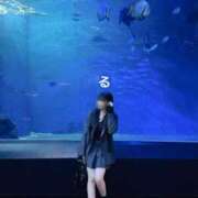 ヒメ日記 2025/04/19 19:04 投稿 るる コートダジュール