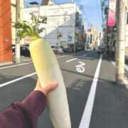 ヒメ日記 2025/04/25 18:03 投稿 るる コートダジュール