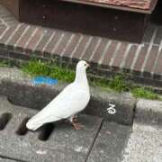 ヒメ日記 2025/05/02 22:15 投稿 るる コートダジュール