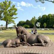 ヒメ日記 2025/05/04 20:03 投稿 るる コートダジュール