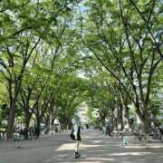 ヒメ日記 2025/05/08 11:01 投稿 るる コートダジュール