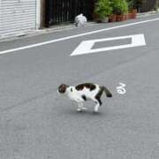 ヒメ日記 2025/05/23 16:02 投稿 るる コートダジュール