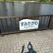 ヒメ日記 2025/08/09 10:31 投稿 るる コートダジュール