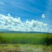 ヒメ日記 2025/08/17 20:04 投稿 るる コートダジュール