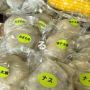 ヒメ日記 2025/08/17 21:30 投稿 るる コートダジュール