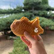 ヒメ日記 2025/08/20 12:35 投稿 るる コートダジュール