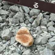 ヒメ日記 2025/08/21 16:30 投稿 るる コートダジュール