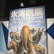 ヒメ日記 2025/08/23 10:31 投稿 るる コートダジュール