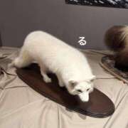 ヒメ日記 2025/09/01 23:39 投稿 るる コートダジュール