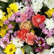 ヒメ日記 2025/10/09 12:33 投稿 るる コートダジュール