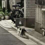 ヒメ日記 2025/10/16 23:39 投稿 るる コートダジュール