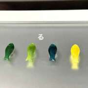 ヒメ日記 2025/11/08 15:02 投稿 るる コートダジュール