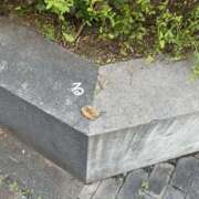 ヒメ日記 2025/11/09 09:02 投稿 るる コートダジュール