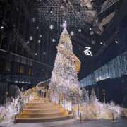 ヒメ日記 2025/11/11 15:30 投稿 るる コートダジュール