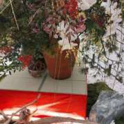 ヒメ日記 2026/01/03 13:16 投稿 れい奥様 人妻倶楽部　日本橋店