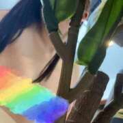 ヒメ日記 2025/07/19 10:19 投稿 もえ One More奥様　立川店