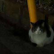 ひとみ ねこ♡ 完熟ばなな梅田