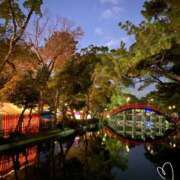 ヒメ日記 2026/01/01 09:44 投稿 みゆき 完熟ばなな梅田