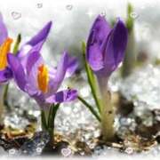 ヒメ日記 2026/02/06 09:48 投稿 みゆき 完熟ばなな梅田