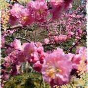 ヒメ日記 2026/02/26 09:34 投稿 みゆき 完熟ばなな梅田