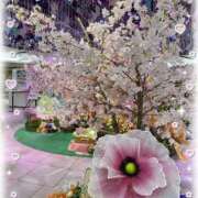 ヒメ日記 2026/04/06 09:44 投稿 みゆき 完熟ばなな梅田