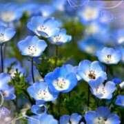ヒメ日記 2026/04/20 09:44 投稿 みゆき 完熟ばなな梅田