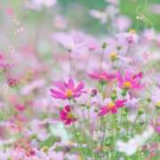 みゆき ☆ 10月 ☆ 完熟ばなな梅田
