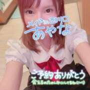 ヒメ日記 2025/04/01 10:47 投稿 五十嵐あやな メイドin西川口（埼玉ハレ系）