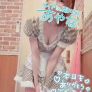 ヒメ日記 2025/09/01 00:04 投稿 五十嵐あやな メイドin西川口（埼玉ハレ系）